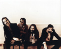 nickcave